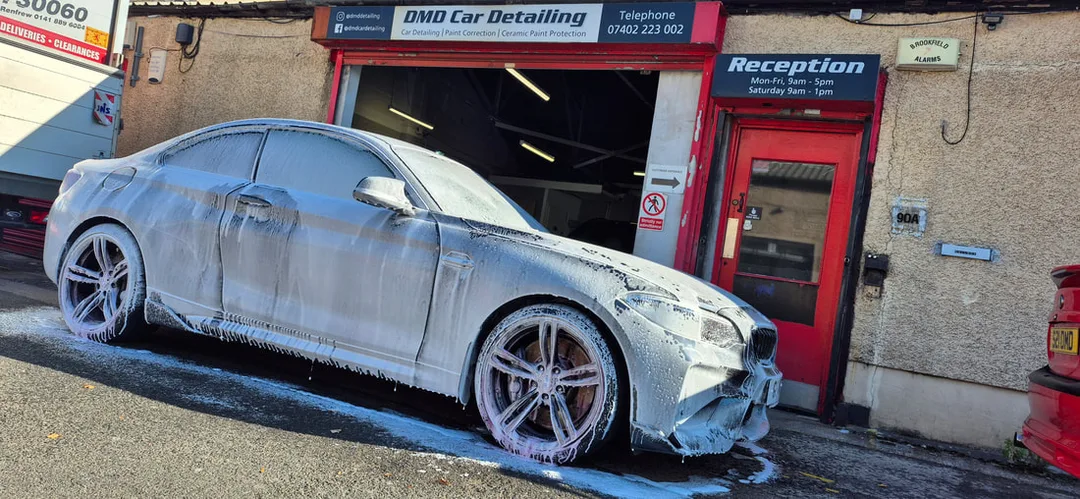 Car Paint Protection