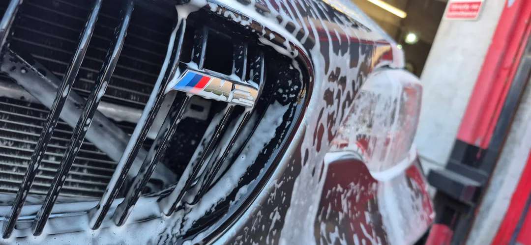 Car Paint Protection