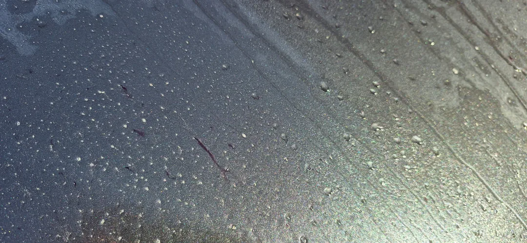 Car Paint Protection