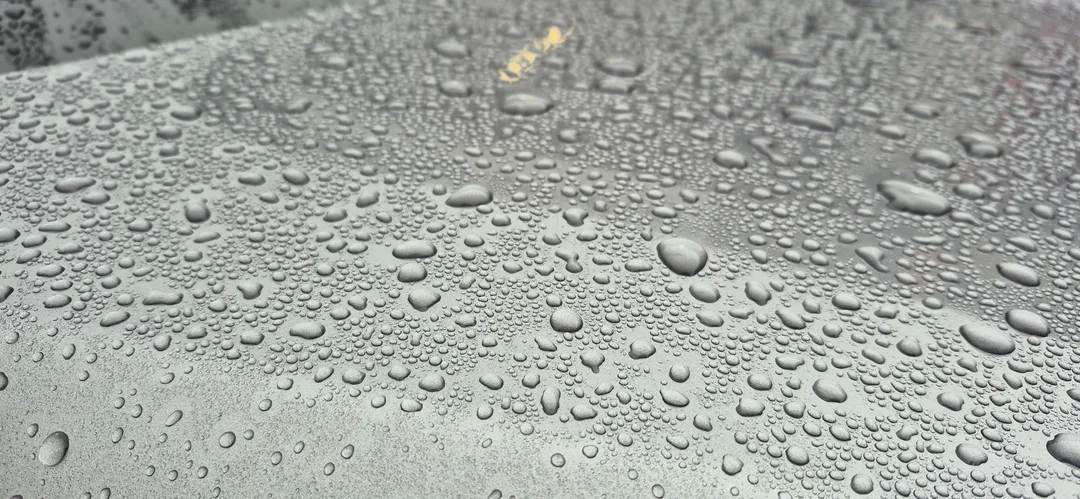 Water beading on ceramic coated bonnet — hydrophobic effect, Paisley