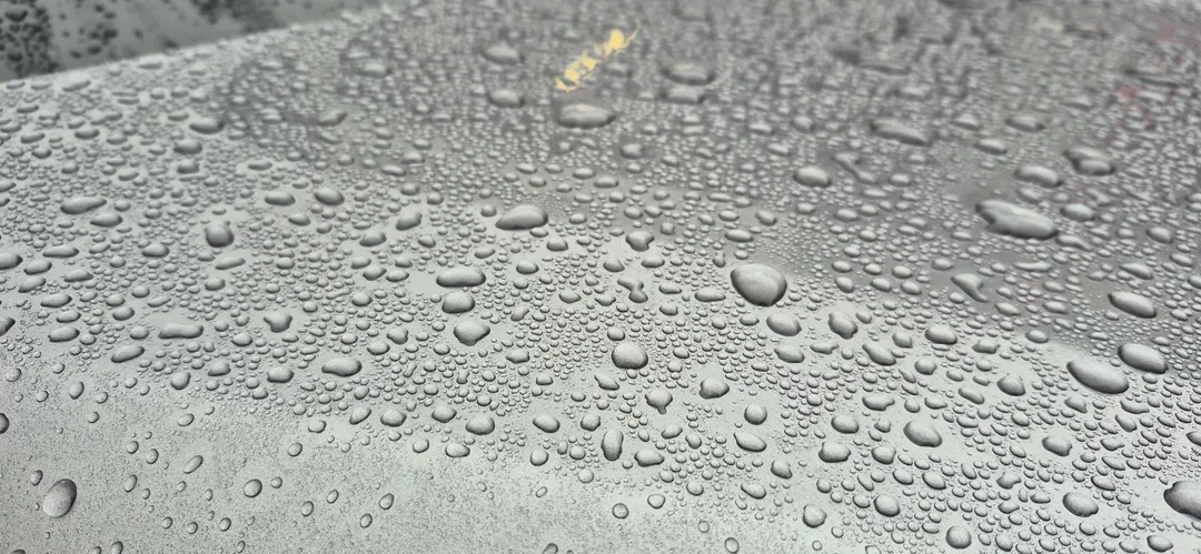 Water beading on ceramic coated bonnet — hydrophobic effect, Paisley