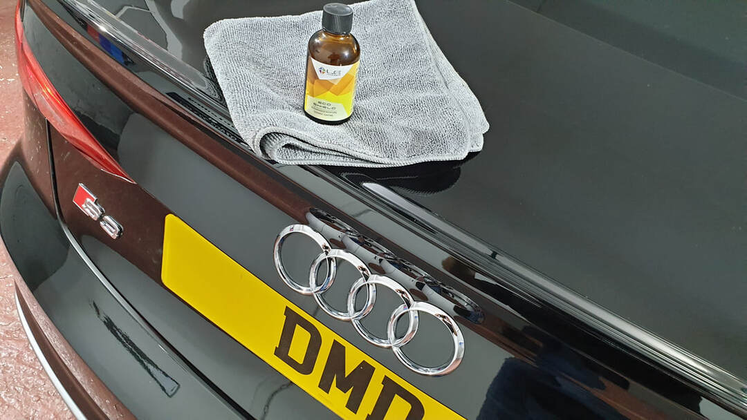 Major Paint Correction Paisley