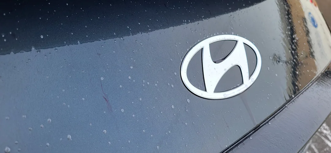 Matte Paint Protection Detail