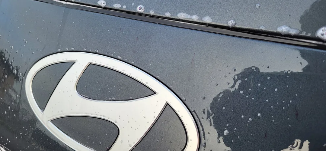 Matte Paint Protection Detail