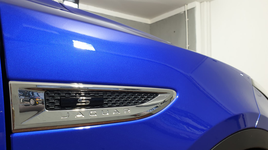 Paint Correction Paisley